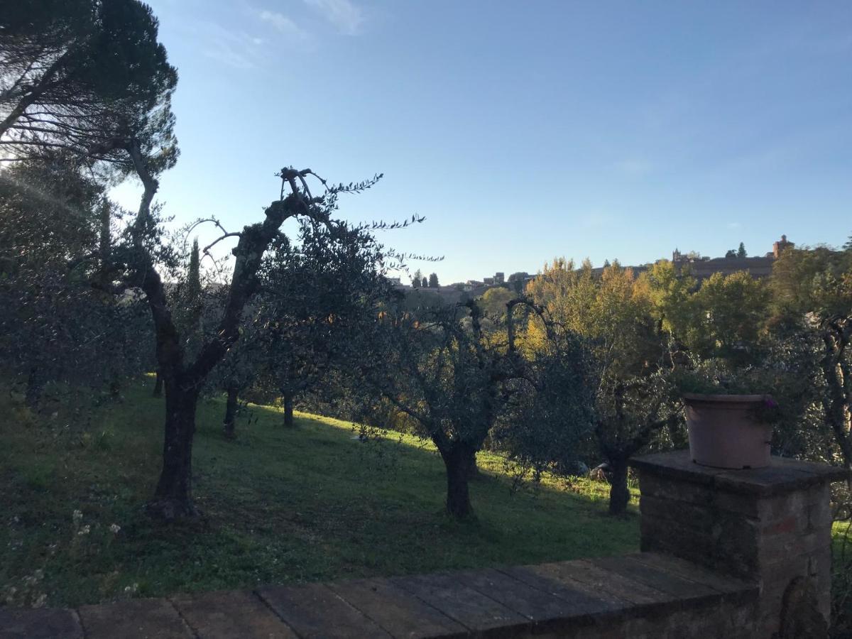 Appartement La Perla Tra Gli Ulivi à Sienne Extérieur photo