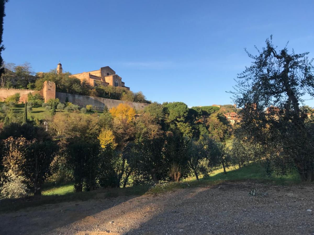 Appartement La Perla Tra Gli Ulivi à Sienne Extérieur photo